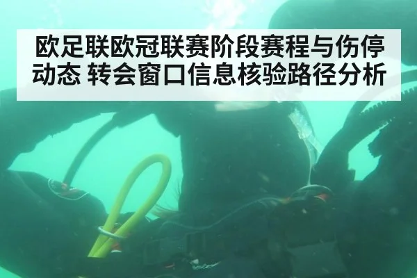 欧足联欧冠联赛阶段赛程与伤停动态 转会窗口信息核验路径分析